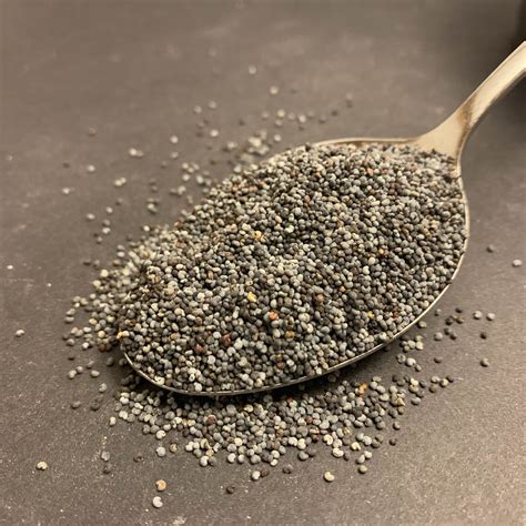 Poppy Seeds – Suntralis Foods