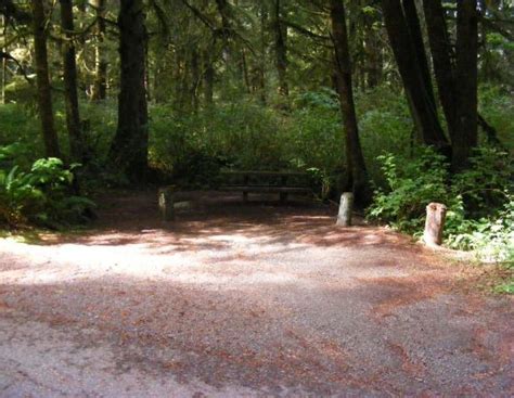 Mora Campground Loop B Olympic National Park