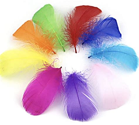 100Pcs Feathers,2-5Inch Multiple Colour Feathers for Crafts|Mr. Mark's ...