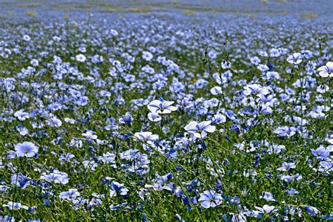 Казахстан. Степь | Kazakhstan. Steppe | Vladimir Varfolomeev | Flickr