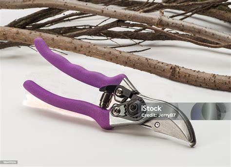 Tree Pruning Tools Stock Photo - Download Image Now - Branch - Plant ...