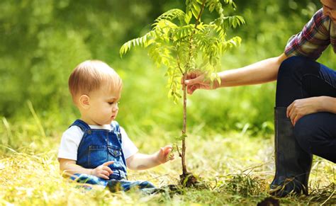 Total Imagen Arbre De Naissance Cultura Fr Thptnganamst Edu Vn