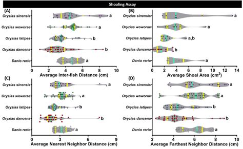 Shoaling Behavior Comparisons Between Each Tested Fish Species Medaka