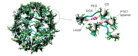 Schematic Representation Of A Polyrotaxane Nanoconstruct Bearing