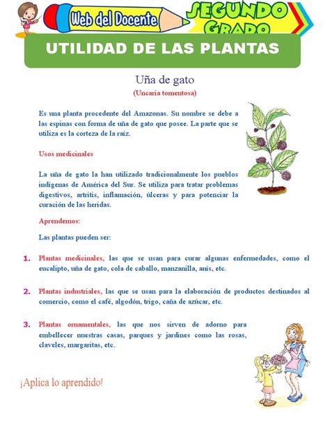 Utilidad De Las Plantas Para Segundo Grado De Primaria Pdf