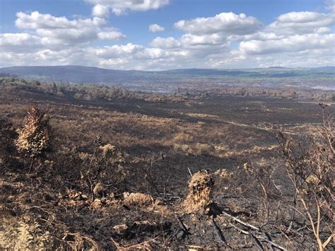 EN IMAGES Les landes et tourbières des monts dArrée ravagées après l