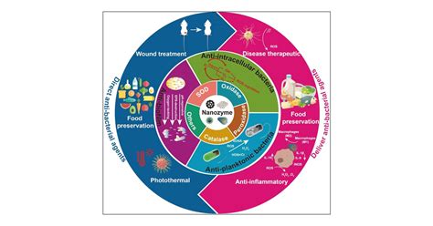 Nanomaterials With Enzyme Like Properties For Combatting Foodborne