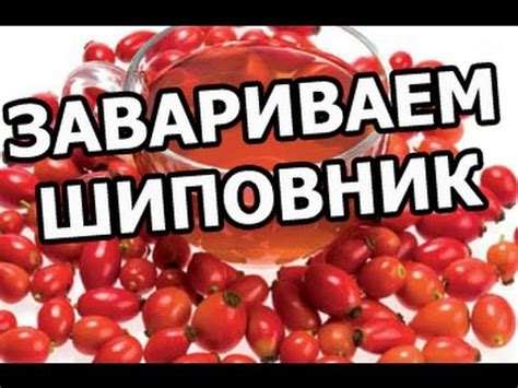 Как заваривать шиповник правильно. Заварить очень легко! - YouTube