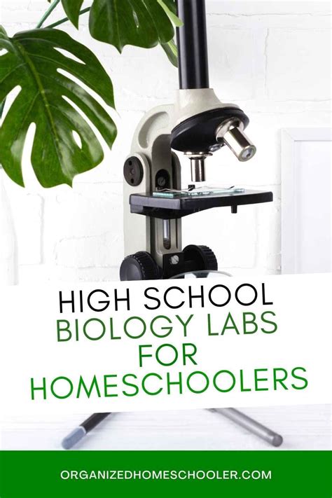 Fantastic High School Biology Labs For Homeschoolers High School