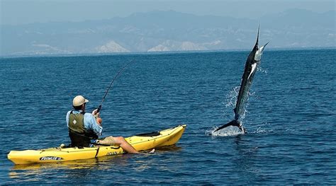 Pesca Con Corcho En El Mar Pesca Información