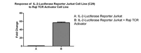 IL2 promoter Luc Jurkat 药靶模型 南京科佰生物科技有限公司