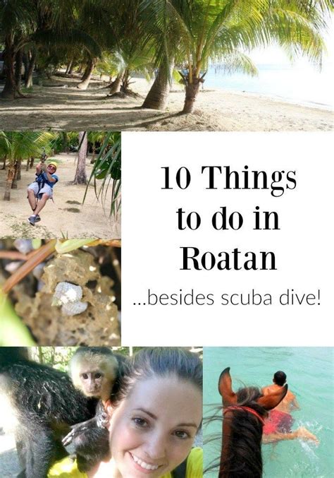 Things To Do In Roatan Honduras Cruise Port Artofit