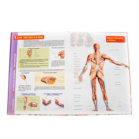 Atlas Visual Del Cuerpo Humano 1 Tomo Lexus Editores Colombia