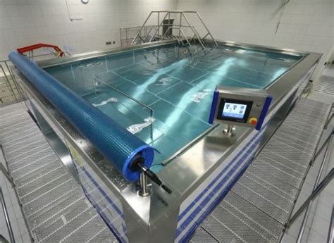 Modular Therapy Pool Our Most Versatile Product Ewac Medical