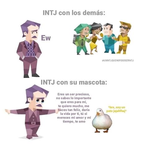 Pin De Nancy En Emociones En Im Genes Graciosas Intj Memes