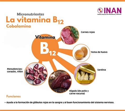 Es Importante Conocer Las Vitaminas Inan