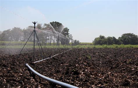 Impact Sprinkler 8025 Sugarcane Senninger Irrigation