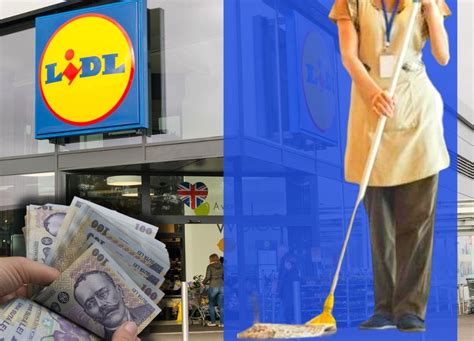 Ce Salariu Are O Femeie De Serviciu De La Lidl Angaj Rile Pe Acest