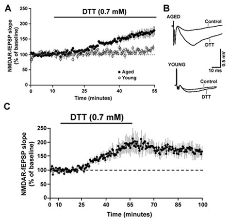 The Reducing Agent Dtt Increases Nmdar Mediated Synaptic Responses To A