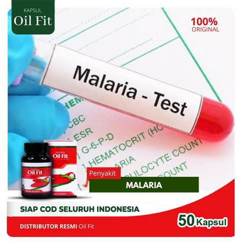 Obat Penyakit Malaria OilFit 50 Kapsul Multikhasiat 100 Minyak Buah