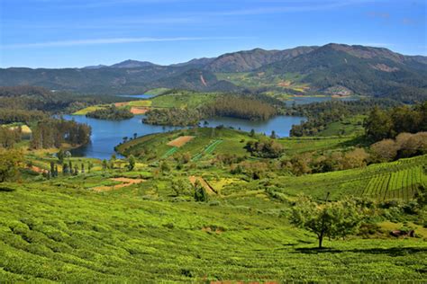 Ooty Tourist Places Best Places To Visit In Ooty And Things To Do