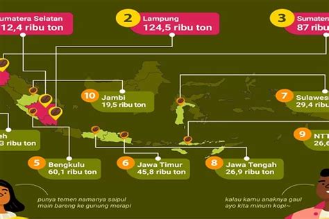 Wong Kito Harus Tahu Ini Kabupaten Kota Penghasil Kopi Robusta Di