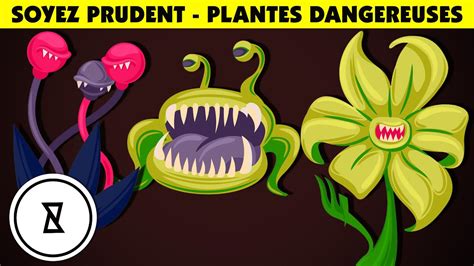 Top 10 Plantes les plus Dangereuses au Monde Très Curieux YouTube