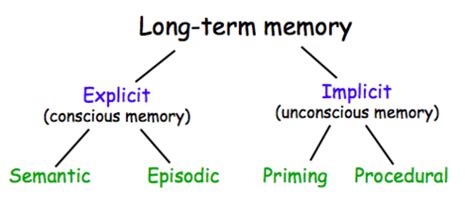 Chapter 7 Long Term Memory Encoding And Retrieval Flashcards Quizlet