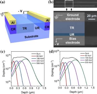 Characterization Of Deep Level Defects In Highly Doped Silicon With