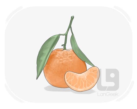 Definition & Meaning of "Satsuma" | Picture Dictionary