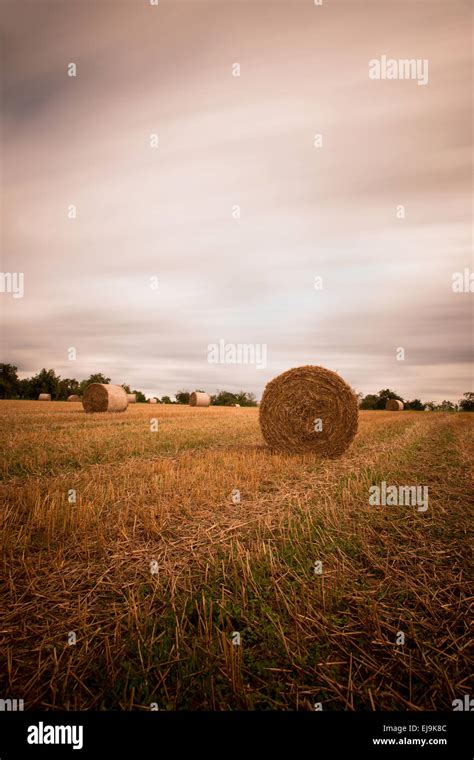 Stubble Field With Straw Bales Stock Photo Alamy