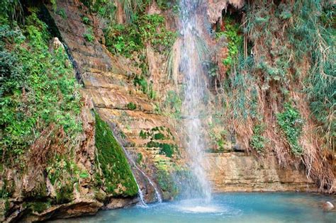 Cool Off In The Ein Gedi Oasis Waterfall Nature Reserve Picturesque