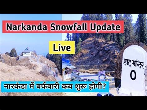 Narkanda Snowfall Update Narkanda Hill Station Shimla Kufri Narkanda