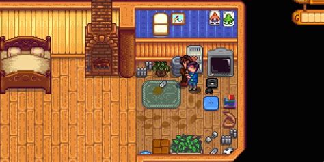 Every Spouses Unique Room In Stardew Valley