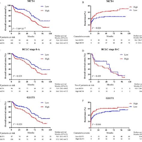 Prognostic Significance Of Mct4 Expression And Glut1 Expression A B Download Scientific