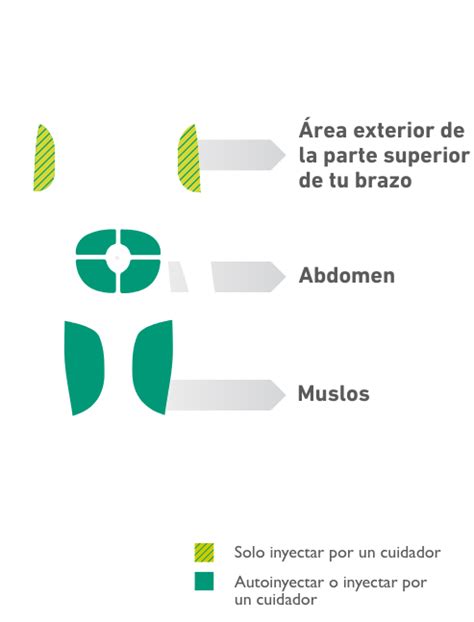 Instrucciones Y Soporte De DUPIXENT Inyectable DUPIXENT Dupilumab