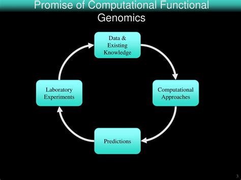 Ppt Machine Learning For Functional Genomics Ii Powerpoint