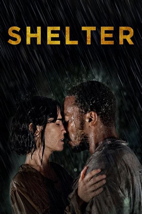 Shelter (2014) — The Movie Database (TMDB)