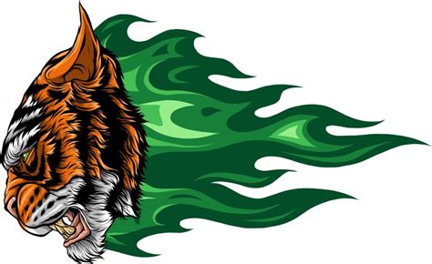 Angry Head Tiger With Fire Royalty Free Vector Image