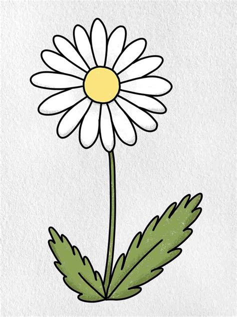 How To Draw A Daisy Flower Helloartsy Margaritas Dibujo Flores