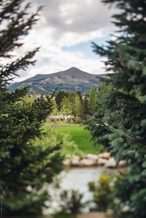 View Through Spruce To Peak 8 Breckenridge Colorado In Summer By