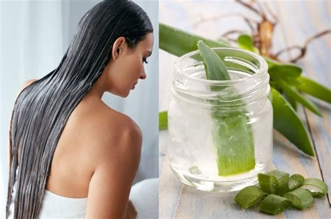 C Mo Hacer Tratamiento Casero Con Aloe Vera Para Detener La Ca Da Del