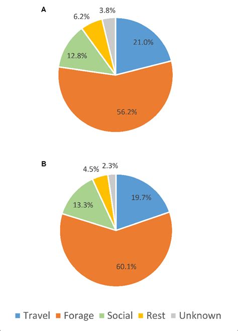 | Comparison of percent of activity budget for each primary gray whale ...