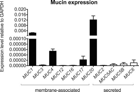 Cells In The Human 3 D Endometrial Epithelial Cell Model Express