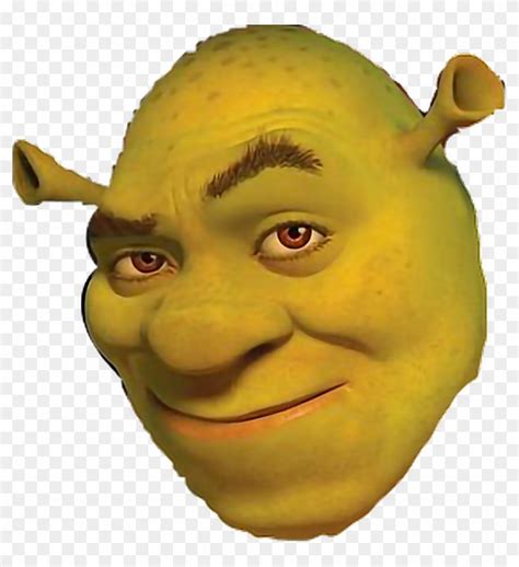 Shrek Sticker - Shrek Forever After, HD Png Download - 1024x1072(#49648 ...