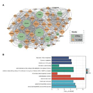 Protein Protein Interaction Analysis And Functional Enrichment Of Crgs