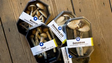 Scientists Find How Magic Mushrooms Alter The Mind Fox News