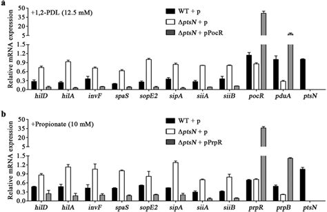 The Effects Of PocR Or PrpR Overexpression On SPI 1 And SPI 4 In The