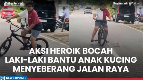 Viral Aksi Heroik Bocah Laki Laki Bantu Anak Kucing Menyeberang Jalan