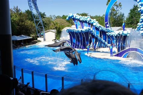 2022 Seaworld Orlando Ultimate Guide Tickets Rides Tips And More Artofit